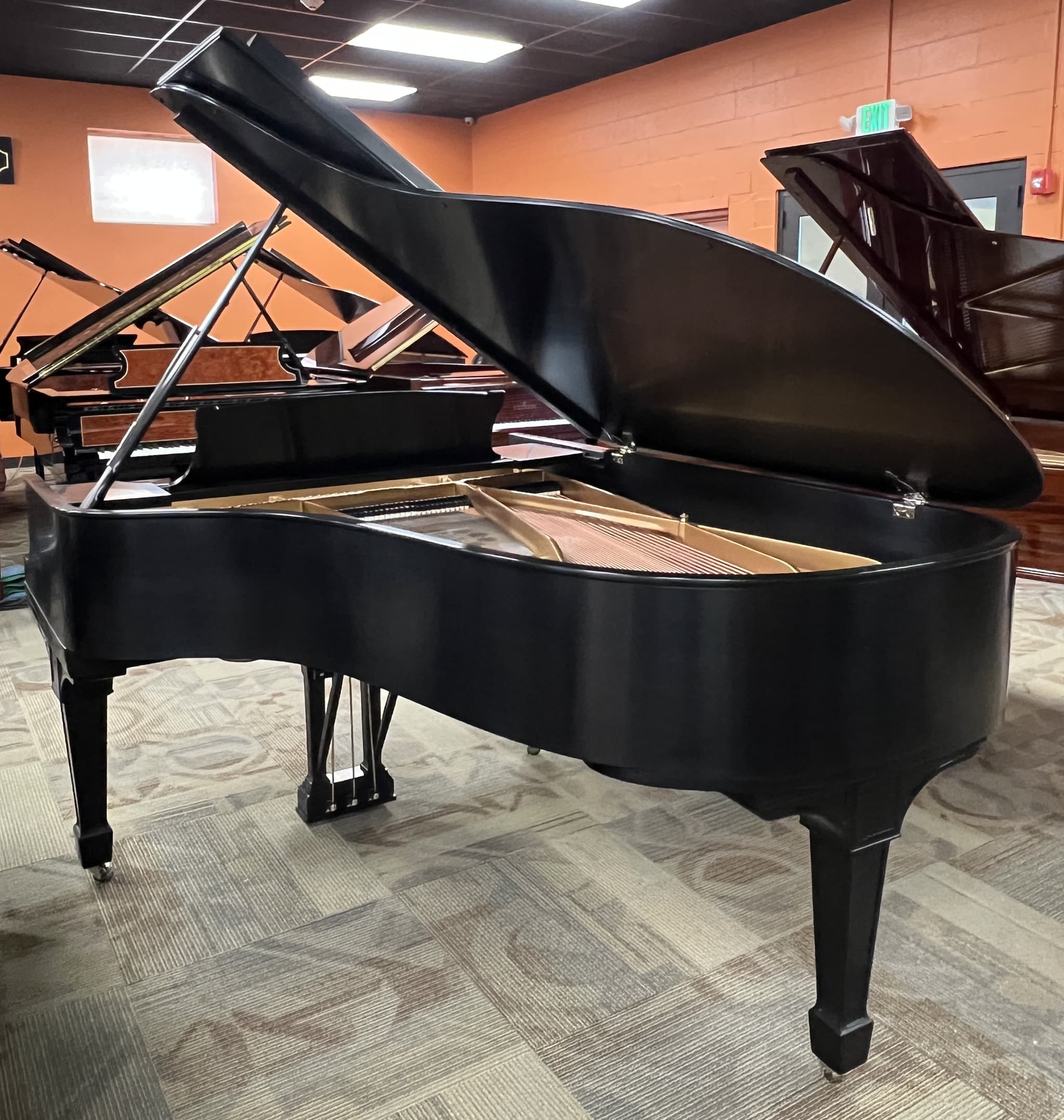 Steinway A3 — thumbnail 5