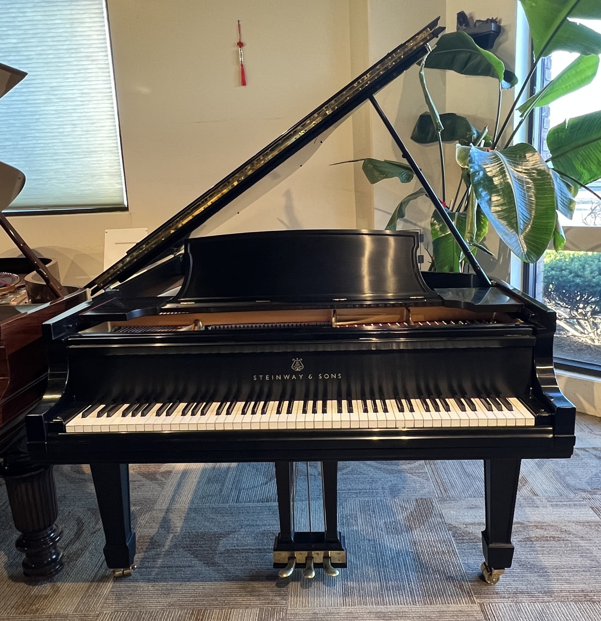 Steinway B
