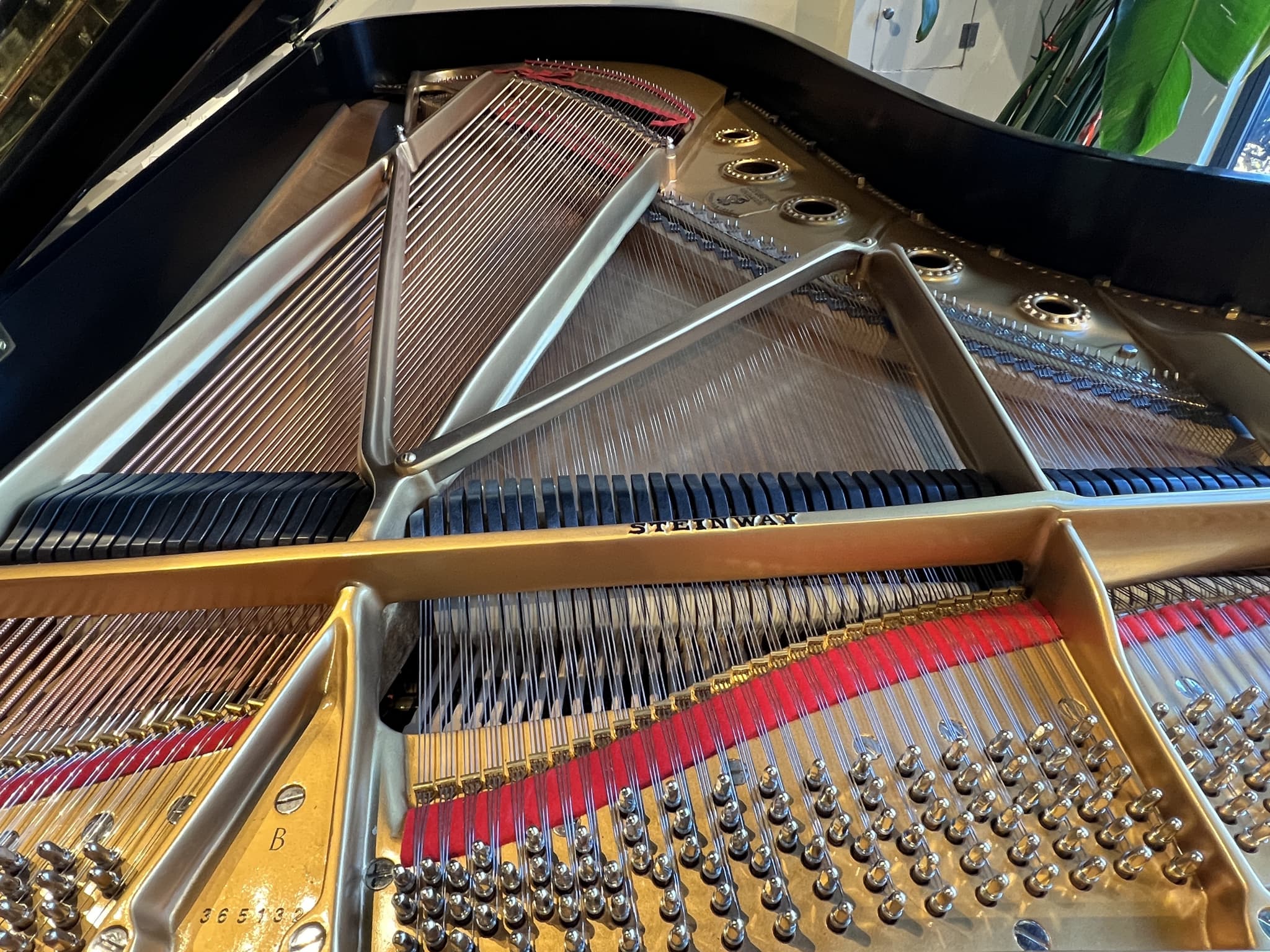 Steinway B — thumbnail 3