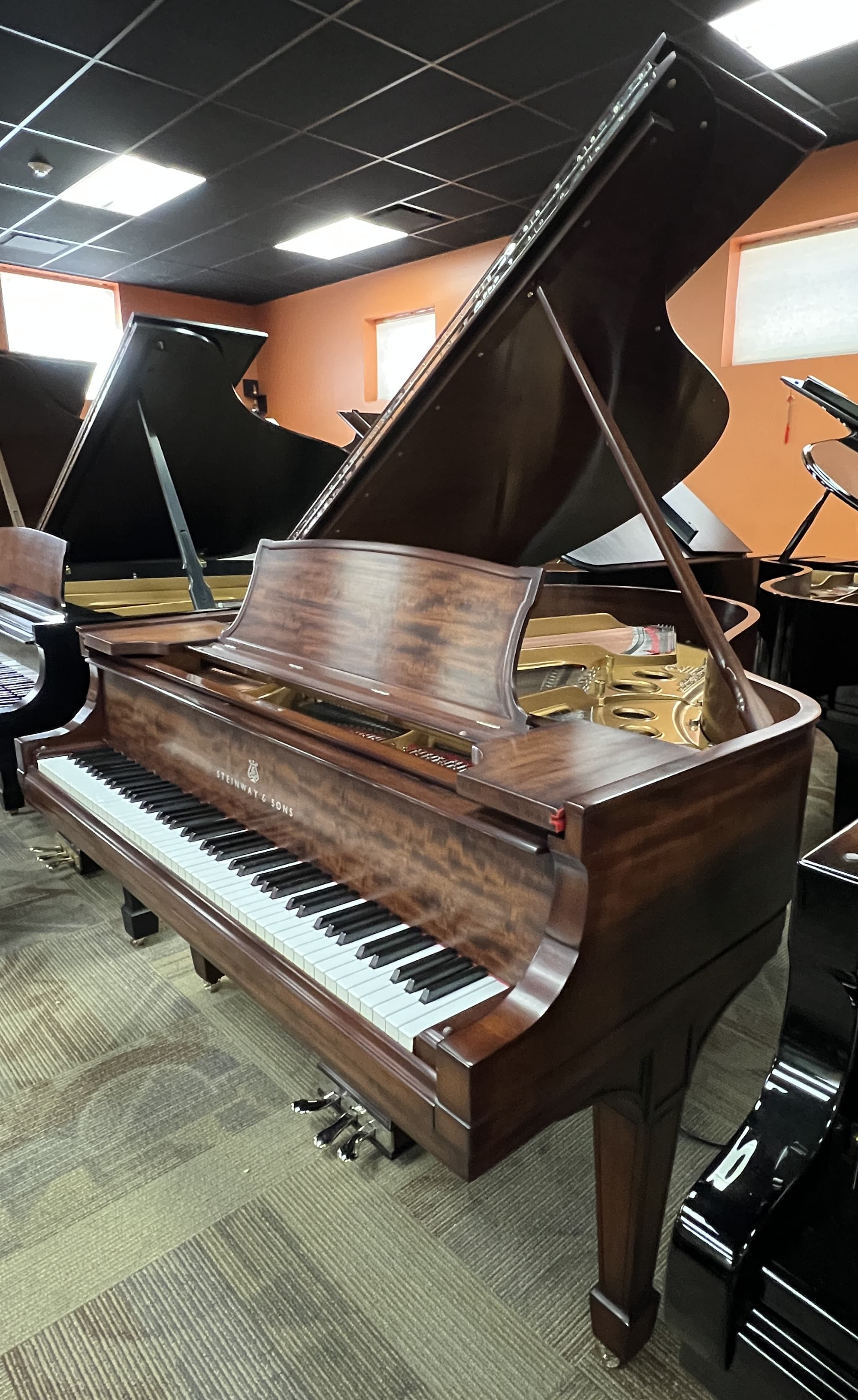 Steinway O — thumbnail 6